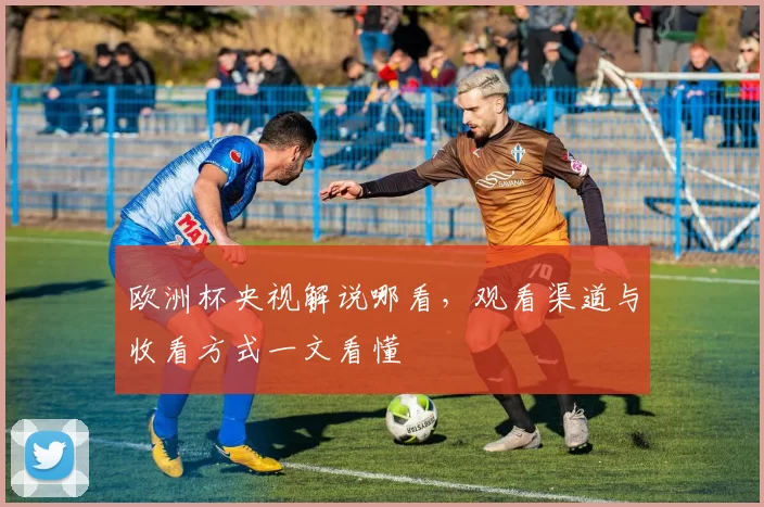 欧洲杯央视解说哪看，观看渠道与收看方式一文看懂