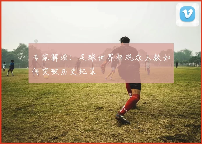 专家解读：足球世界杯观众人数如何突破历史纪录