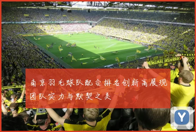 南京羽毛球队配合排名创新高展现团队实力与默契之美