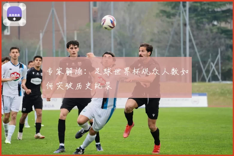 专家解读：足球世界杯观众人数如何突破历史纪录