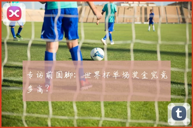 专访前国脚:世界杯单场奖金究竟多高?