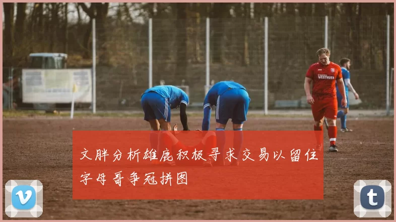 文胖分析雄鹿积极寻求交易以留住字母哥争冠拼图