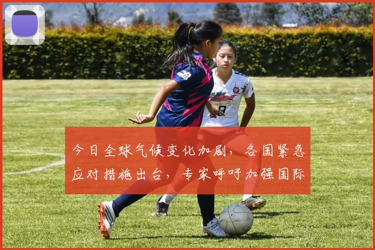 今日全球气候变化加剧，各国紧急应对措施出台，专家呼吁加强国际合作解决危机