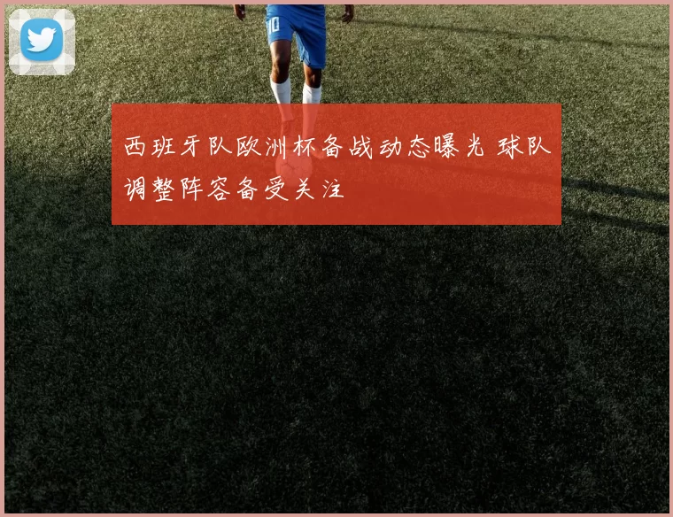 西班牙队欧洲杯备战动态曝光 球队调整阵容备受关注