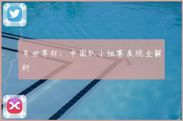 年世界杯：中国队小组赛表现全解析