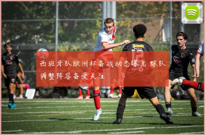 西班牙队欧洲杯备战动态曝光 球队调整阵容备受关注