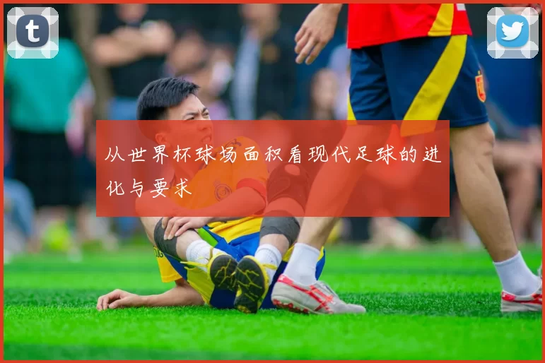 从世界杯球场面积看现代足球的进化与要求