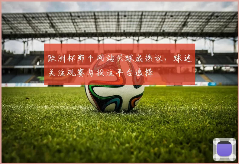 欧洲杯那个网站买球成热议,球迷关注观赛与投注平台选择