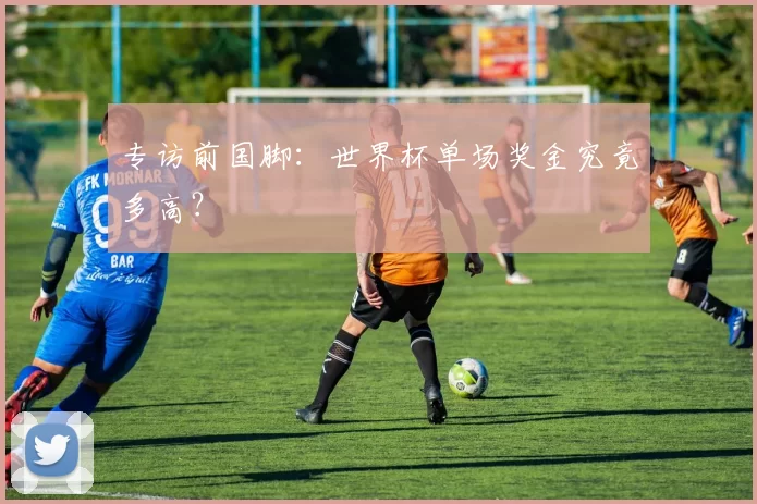 专访前国脚：世界杯单场奖金究竟多高？