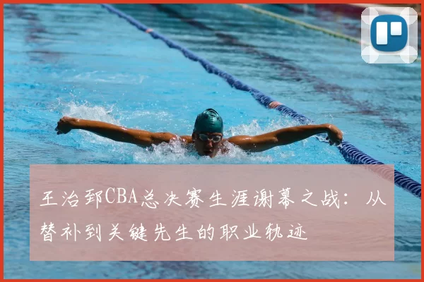 王治郅CBA总决赛生涯谢幕之战：从替补到关键先生的职业轨迹